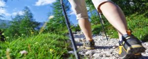 How to use a Walking Stick for Hiking