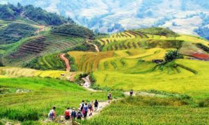 trekking tours in Vietnam