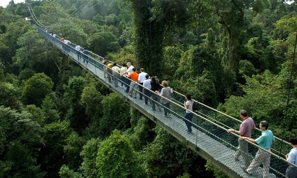 The Bukit Timah Nature Reserve